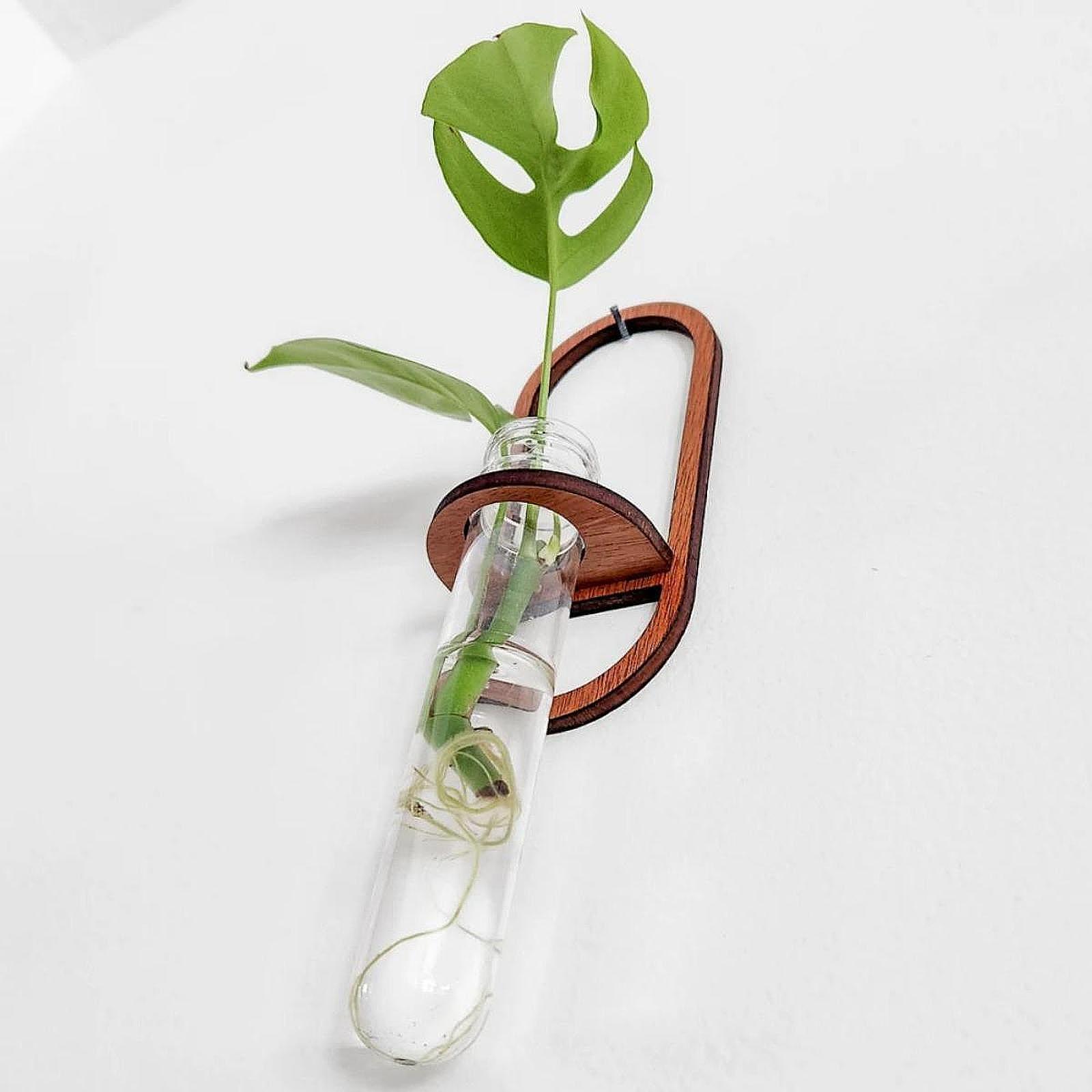 Hydroponic Plant Vase Wooden W - Propagation Station Vase ulasan dan harga