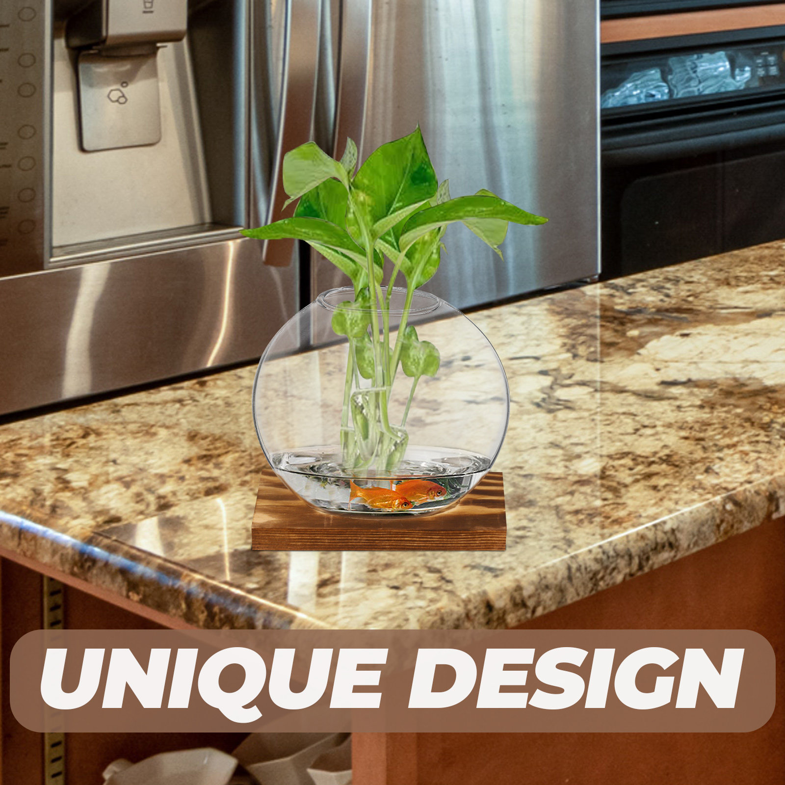 2Sets Glass Small Plant Vase F - Propagation Station Vase ulasan dan harga