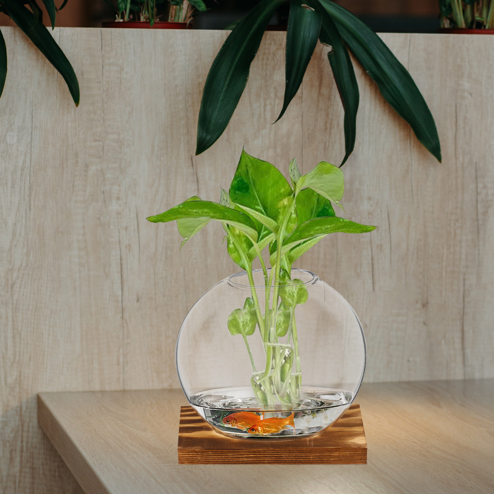 2Sets Glass Small Plant Vase F - Propagation Station Vase ulasan dan harga