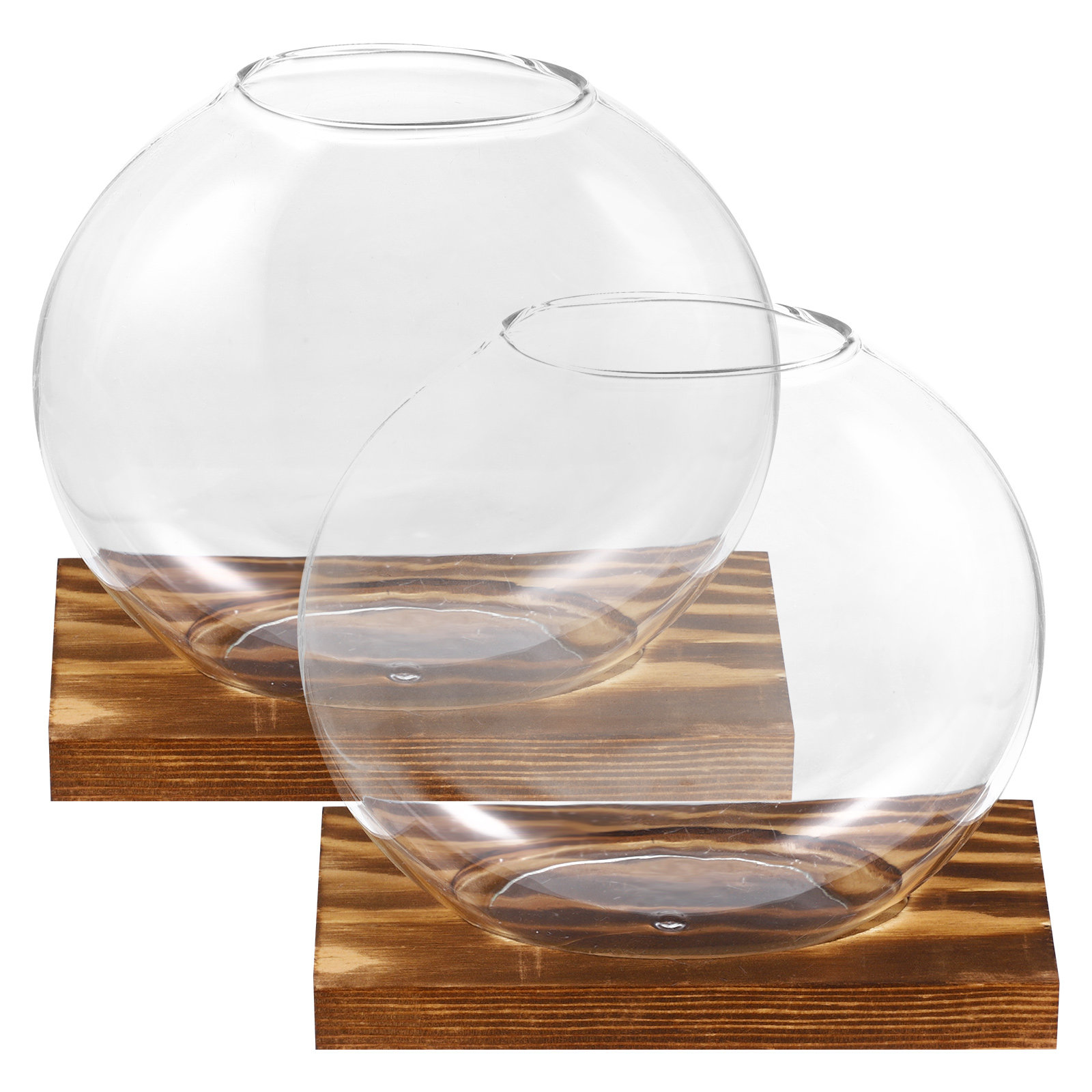 2Sets Glass Small Plant Vase F - Propagation Station Vase ulasan dan harga